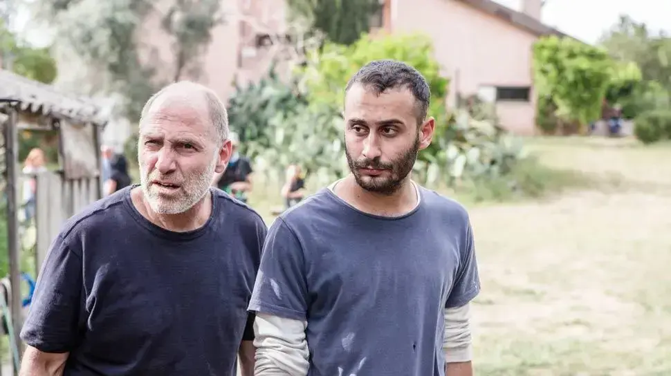 הבן דוד הבן דוד
