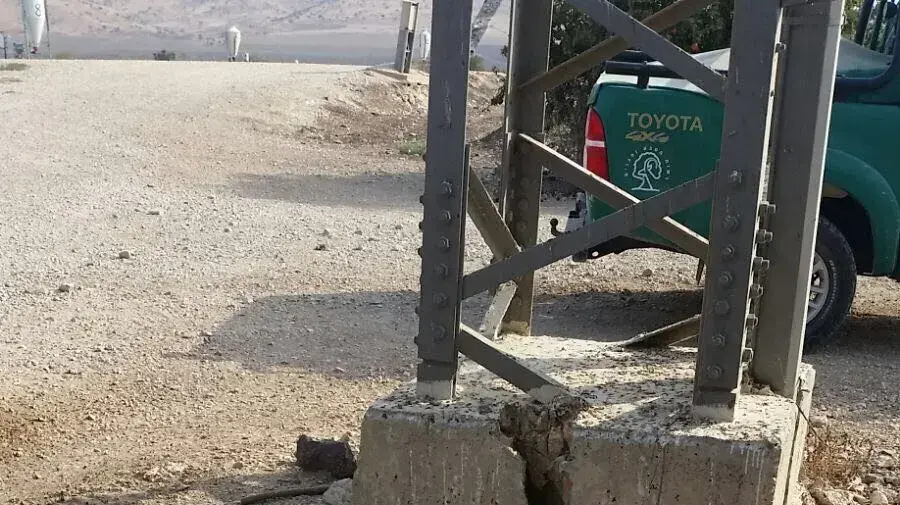 2 עיטים נציים (מהאחרונים שנותרו בישראל) שהתחשמלו למוות בעמק בית שאן 4.9.17 2 עיטים נציים (מהאחרונים שנותרו בישראל) שהתחשמלו למוות בעמק בית שאן 4.9.17