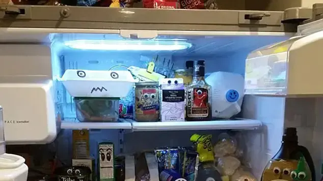 הפתעה במקרר הפתעה במקרר