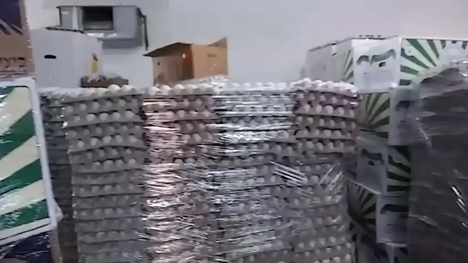 כ- 250,000 ביצים אסורות לשיווק של חברת "יש מעוף" נתפסו במחסן לא חוקי כ- 250,000 ביצים אסורות לשיווק של חברת "יש מעוף" נתפסו במחסן לא חוקי