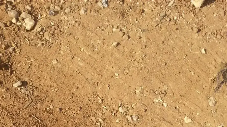 הסכין בניסיון פיגוע הדקירה בקרית ארבע 13.9.17 הסכין בניסיון פיגוע הדקירה בקרית ארבע 13.9.17