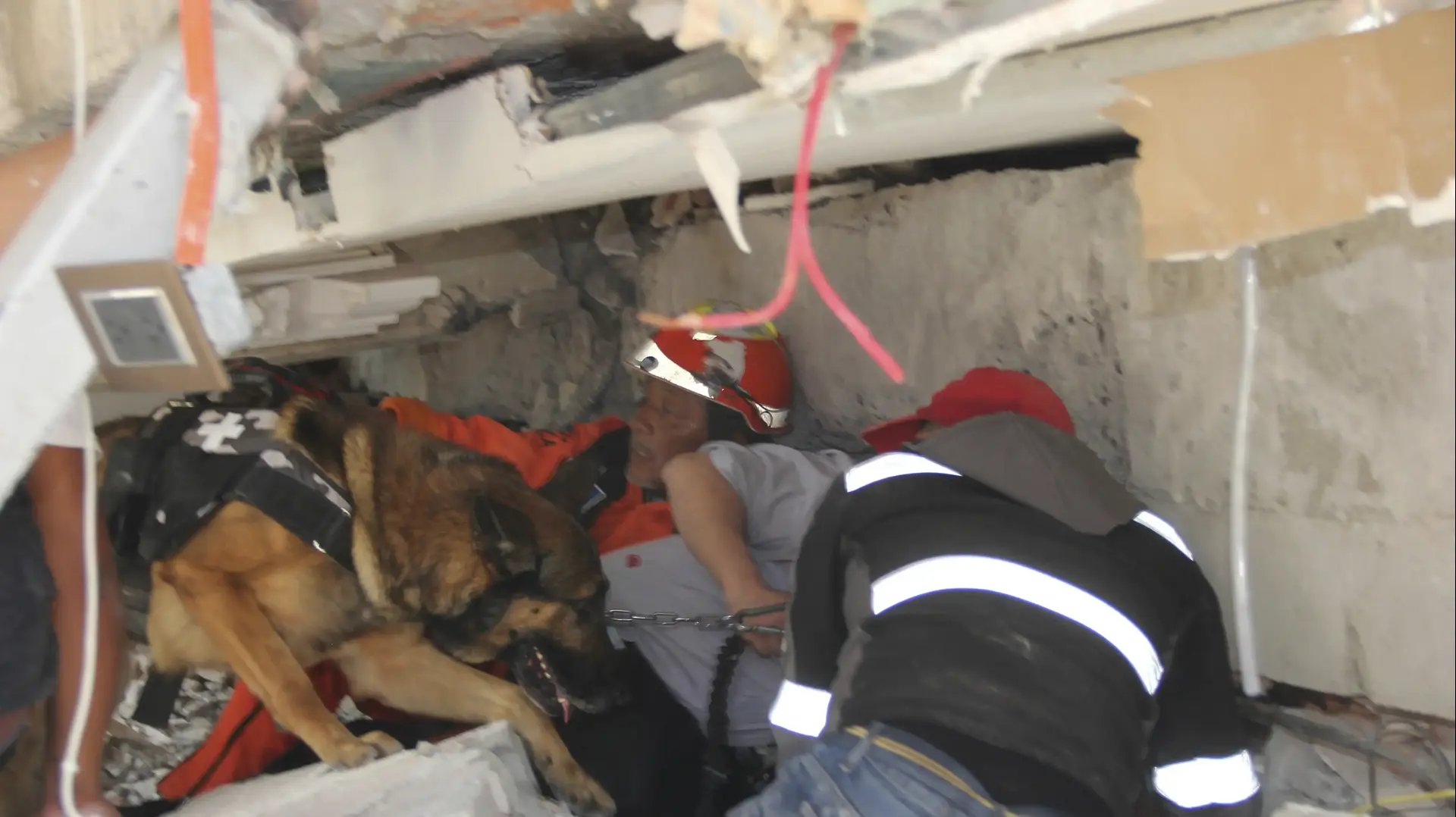 צוות חילוץ פועלים בהריסות בית ספר שקרס במקסיקו סיטי בעקבות רעידת האדמה, 20 בספטמבר 2017 צוות חילוץ פועלים בהריסות בית ספר שקרס במקסיקו סיטי בעקבות רעידת האדמה, 20 בספטמבר 2017