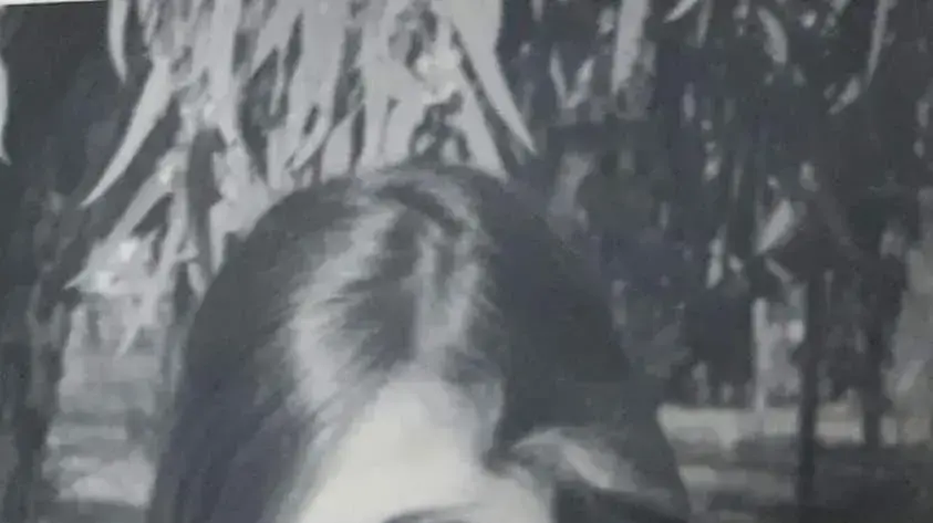 ג'ודי ברגמן בגיל 18 ג'ודי ברגמן בגיל 18