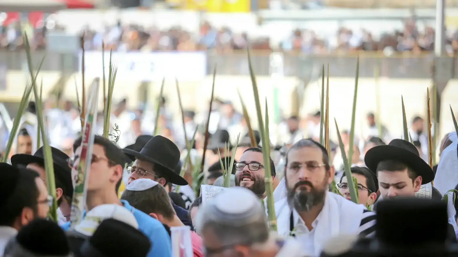 ברכת הכהנים בכותל המערבי 8 באוקטובר 2017 ברכת הכהנים בכותל המערבי 8 באוקטובר 2017