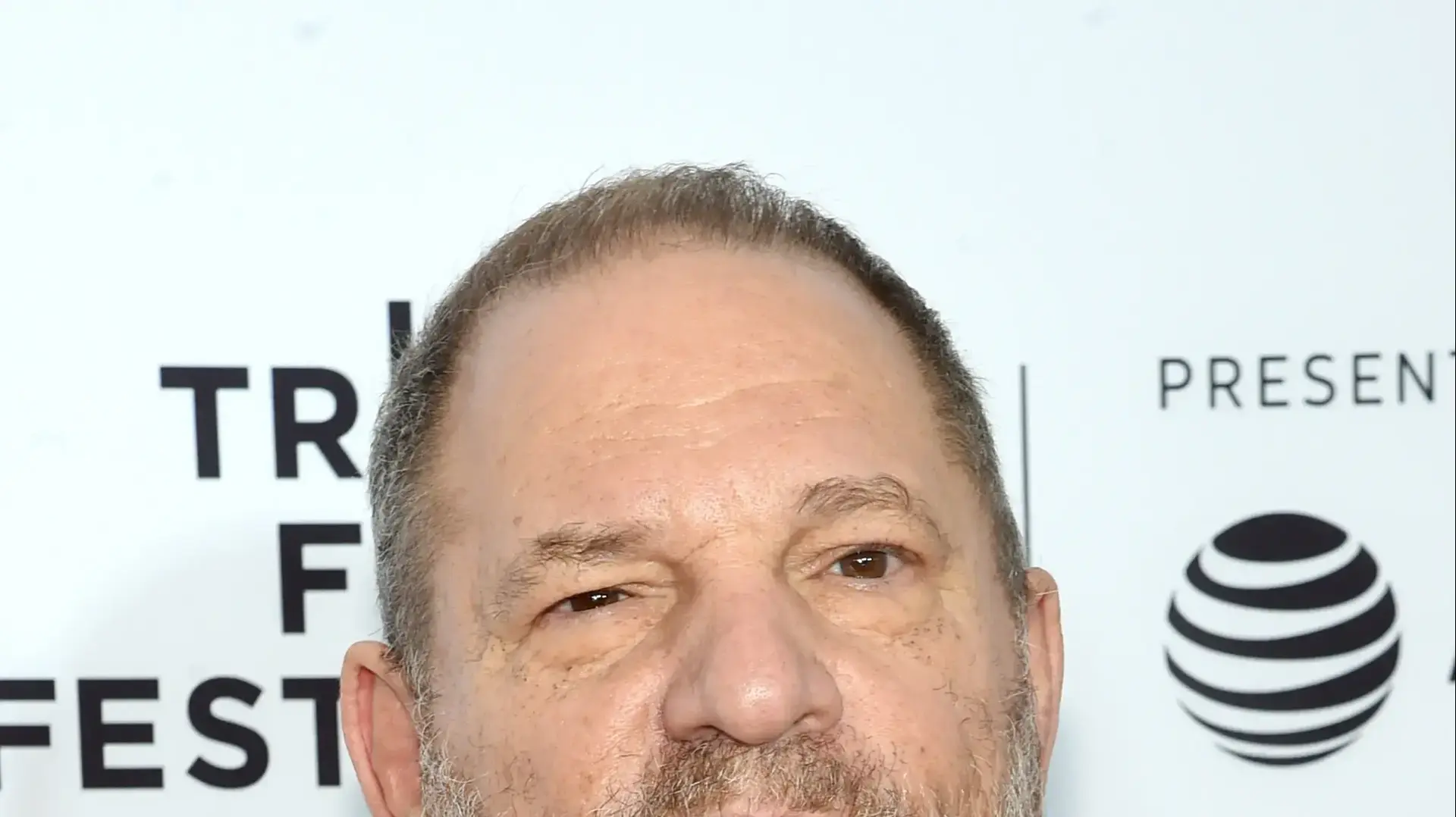 הארווי ויינשטיין הארווי ויינשטיין