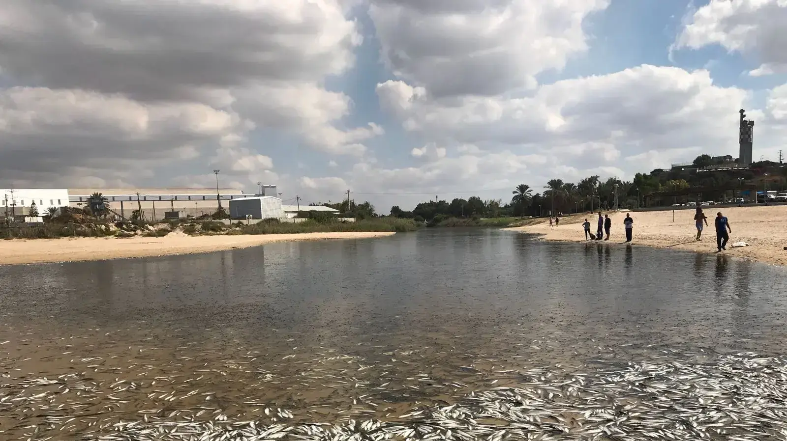 זיהום חמור בנחל לכיש בעקבות הזרמת חומרים כימיים