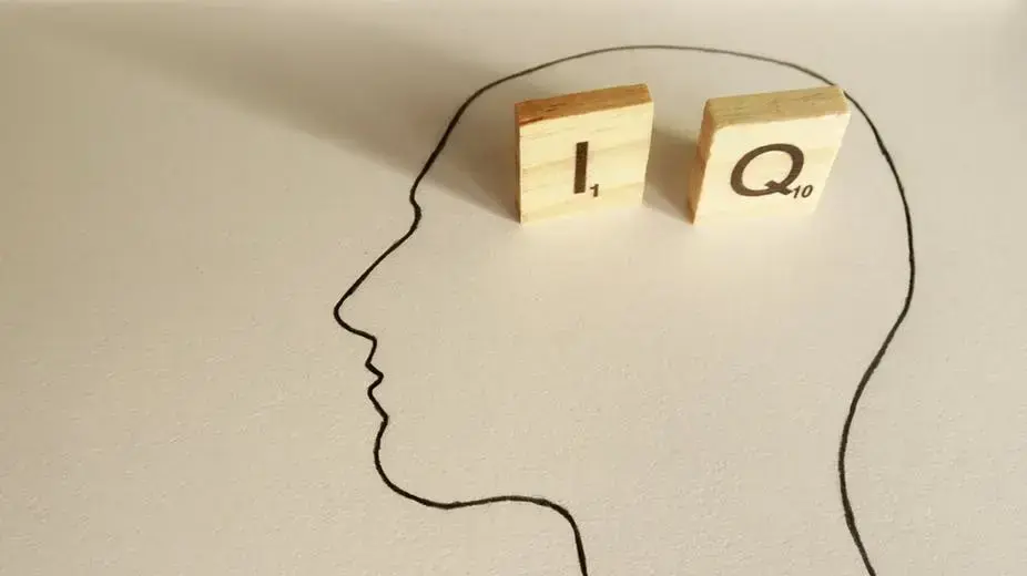 IQ - מנת משכל IQ - מנת משכל