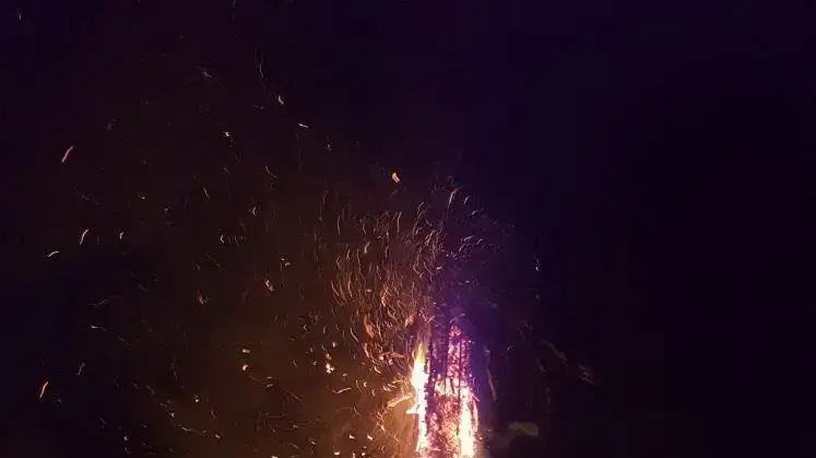 עץ שנפגע מברק במושב אבן ספיר עץ שנפגע מברק במושב אבן ספיר