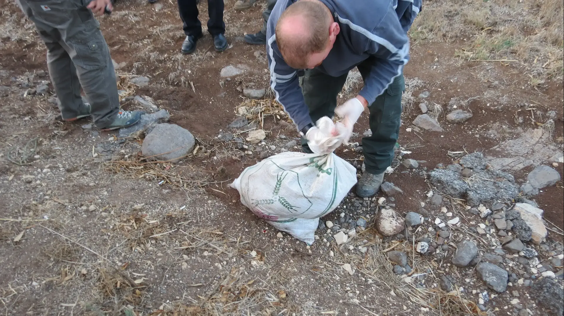 ציידים צדו צביה בהריון וטענו כי חשבו שזה שועל, ברמת סירין 31 באוקטובר 2017 ציידים צדו צביה בהריון וטענו כי חשבו שזה שועל, ברמת סירין 31 באוקטובר 2017