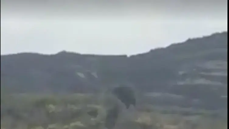 דרוזים מהכפר חד'ר מנסים לחצות את הגבול לישראל לאחר המתקפה דרוזים מהכפר חד'ר מנסים לחצות את הגבול לישראל לאחר המתקפה