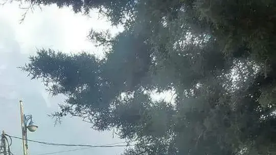 הכפר חדר לאחר פיצוץ מכונית התופת הכפר חדר לאחר פיצוץ מכונית התופת