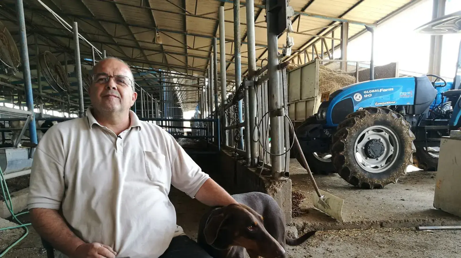 רוני כהן, ממושב שפיר אשר בקר נגנב ממשקו בנובמבר 2017 רוני כהן, ממושב שפיר אשר בקר נגנב ממשקו בנובמבר 2017