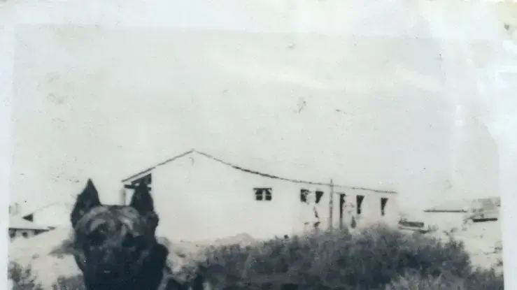 אליהו שמש וכלבו ליש אליהו שמש וכלבו ליש