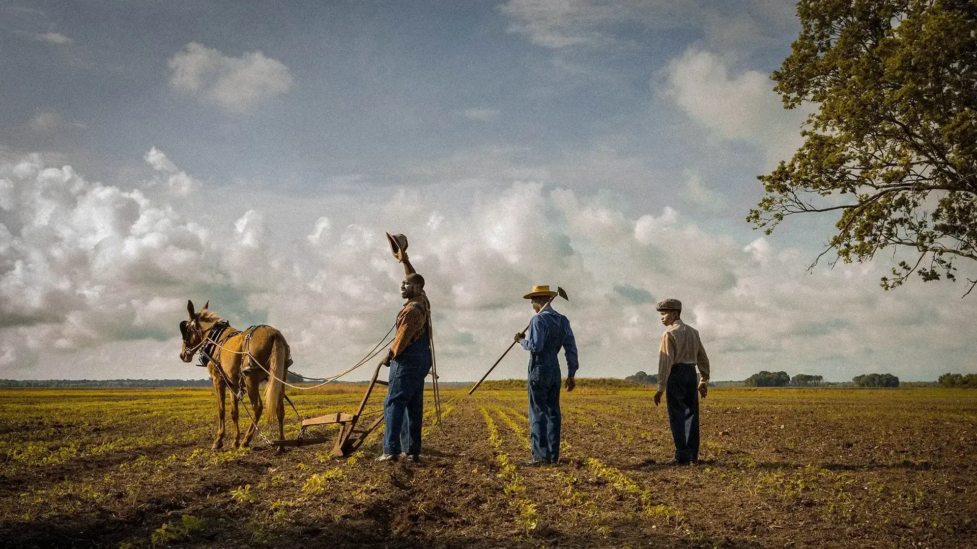 mudbound mudbound