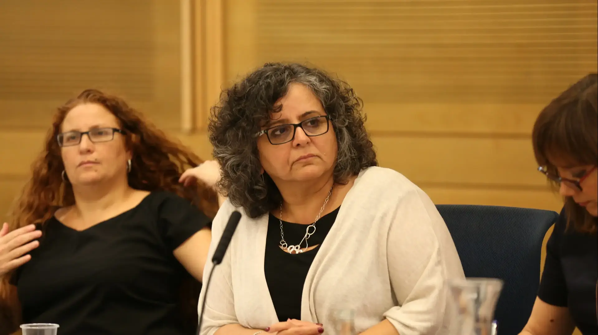 ח"כ עאידה תומא סלימאן, חברת סיעת הרשימה המשותפת ח"כ עאידה תומא סלימאן, חברת סיעת הרשימה המשותפת