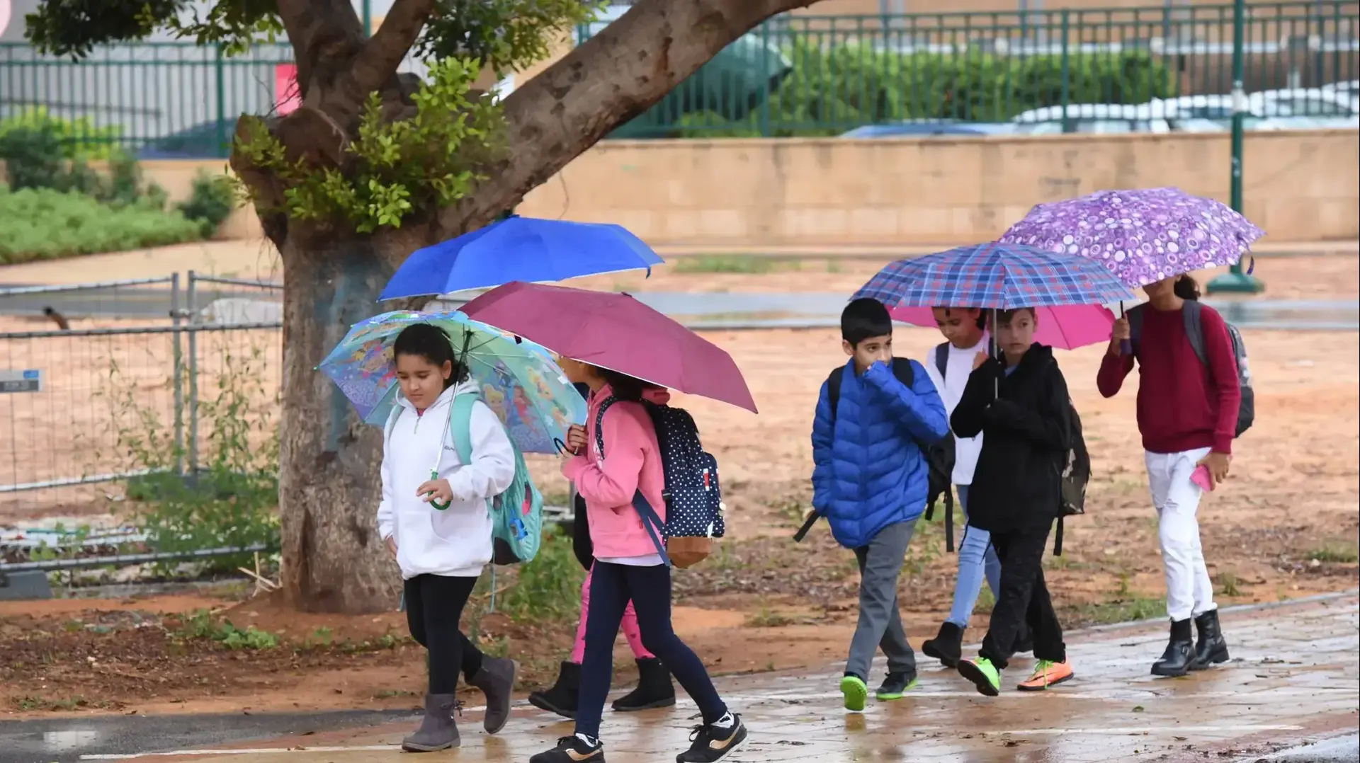 גשם בפתח תקווה 21 בנובמר 2017 גשם בפתח תקווה 21 בנובמר 2017