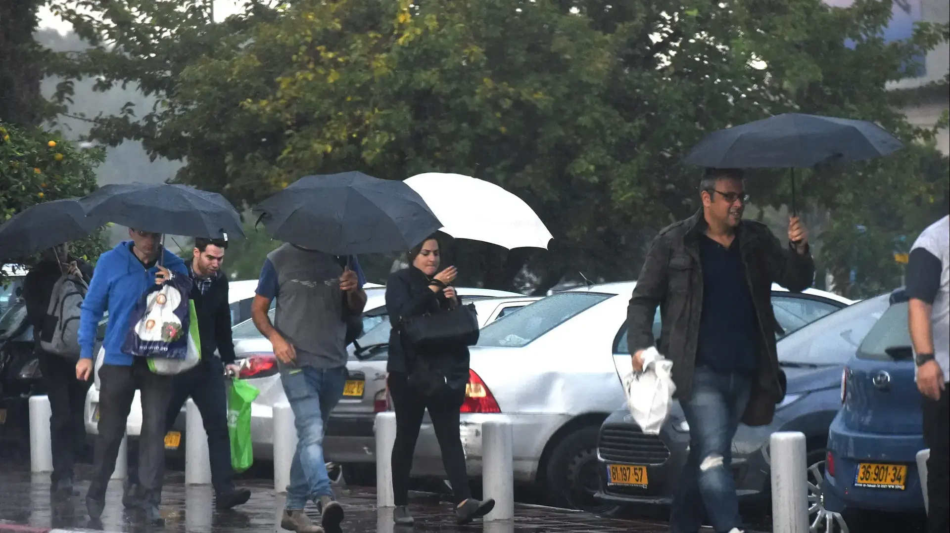 תמונות חורפיות מרמת גן 21 בנובמבר 2017 תמונות חורפיות מרמת גן 21 בנובמבר 2017
