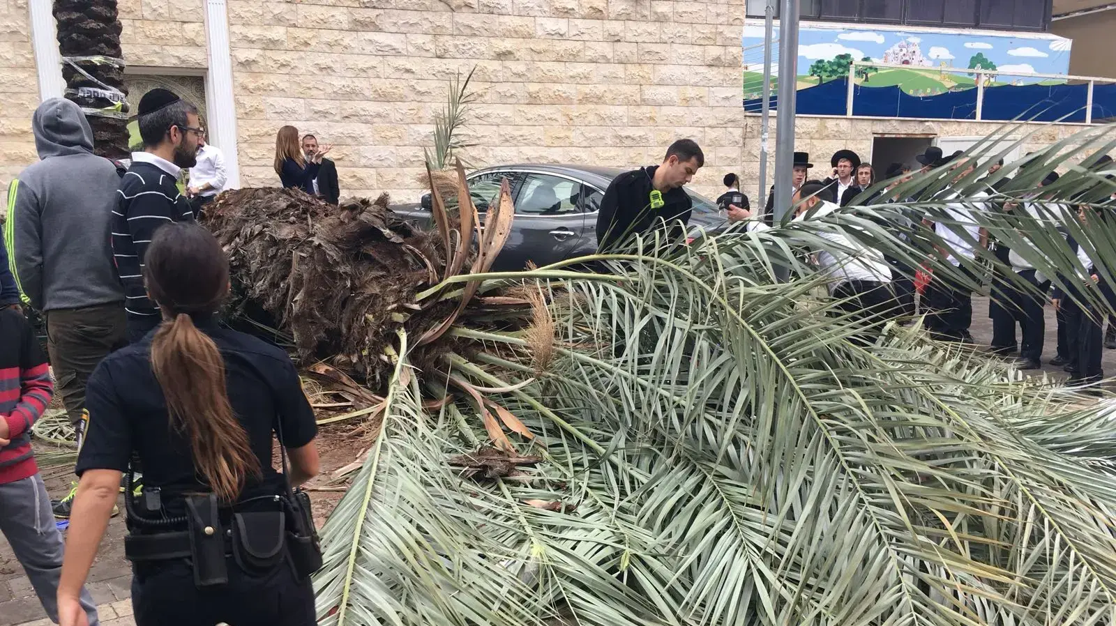 בני ברק: בעקבות פגעי מזג האוויר, עץ קרס על אדם שחצה את הרחוב 21 בנובמבר 2017 בני ברק: בעקבות פגעי מזג האוויר, עץ קרס על אדם שחצה את הרחוב 21 בנובמבר 2017