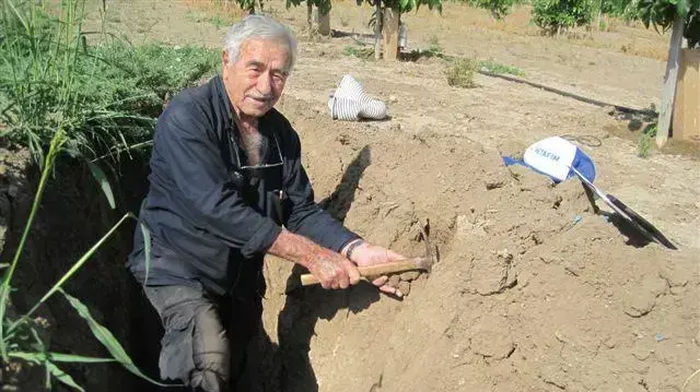 אברהם כנרתי אברהם כנרתי