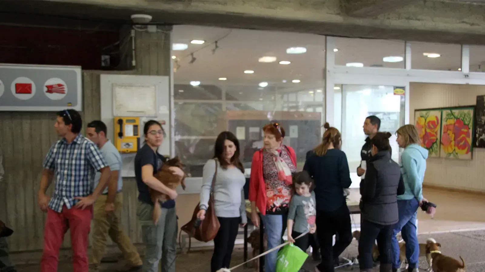 חיסון כלבת בבית השיטה, 27 בנובמבר 2017 חיסון כלבת בבית השיטה, 27 בנובמבר 2017