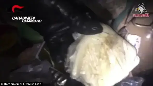 גבינה רקובה שנמצאה במרתף של החטופה גבינה רקובה שנמצאה במרתף של החטופה