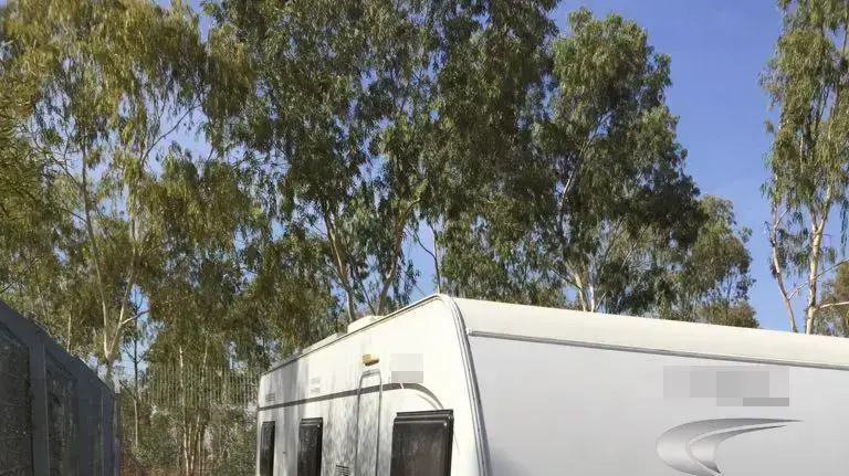 חיסון חתולים נגועים בכלבת בצפון על ידי קרוון השירותים הווטרינריים של משרד החקלאות חיסון חתולים נגועים בכלבת בצפון על ידי קרוון השירותים הווטרינריים של משרד החקלאות