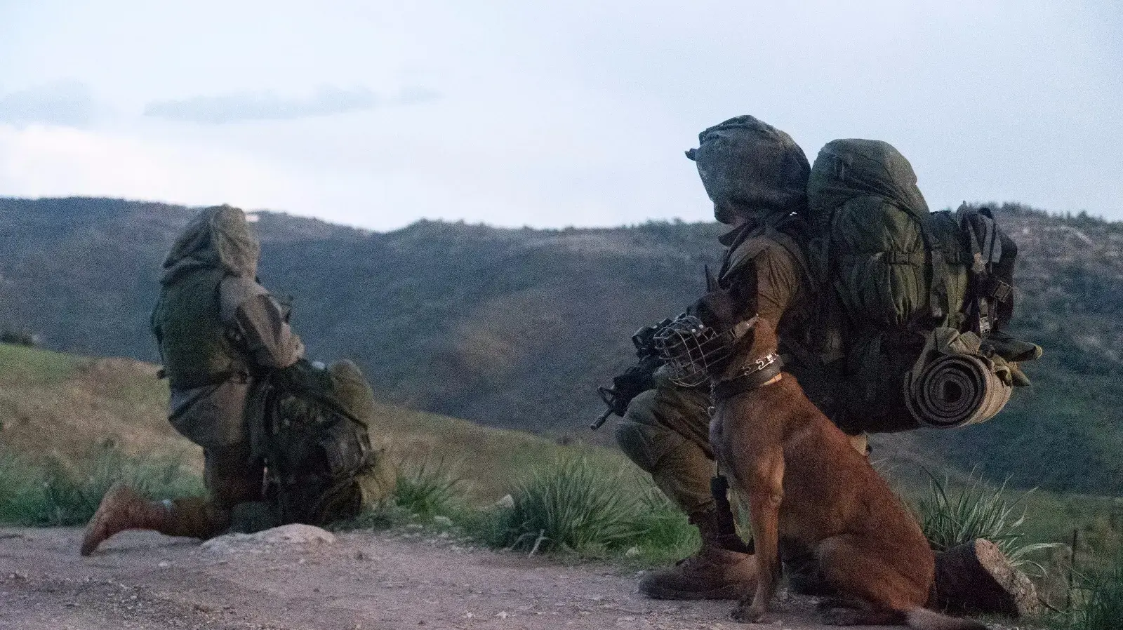 תרגיל כוחות אוויר ויבשה בקפריסין תרגיל כוחות אוויר ויבשה בקפריסין