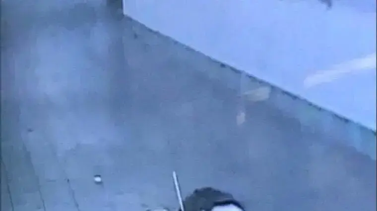 המחבל שביצע את הפיגוע בתחנה המרכזית במנהטן, ניו יורק, 11 בדצמבר 2017 המחבל שביצע את הפיגוע בתחנה המרכזית במנהטן, ניו יורק, 11 בדצמבר 2017