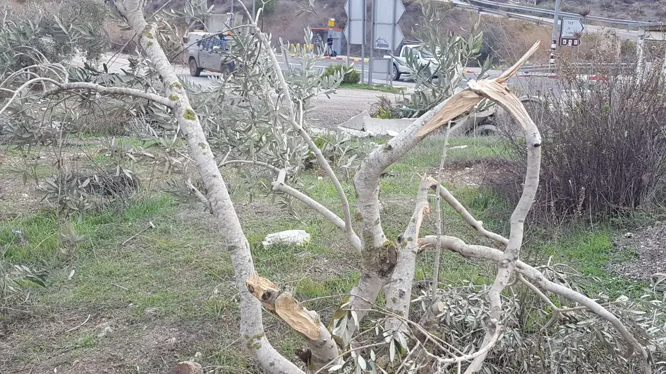 מתנחלים זרקו באבנים לעבר פלסטינים בכפר בורין שבמרחב החטיבה המרחבית שומרון 13 בדצמבר 2017 מתנחלים זרקו באבנים לעבר פלסטינים בכפר בורין שבמרחב החטיבה המרחבית שומרון 13 בדצמבר 2017