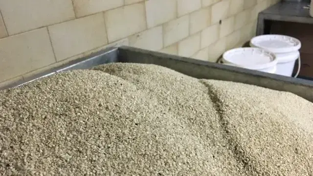 סיור אוכל בנצרת- שומשום במפעל נצרת סיור אוכל בנצרת- שומשום במפעל נצרת