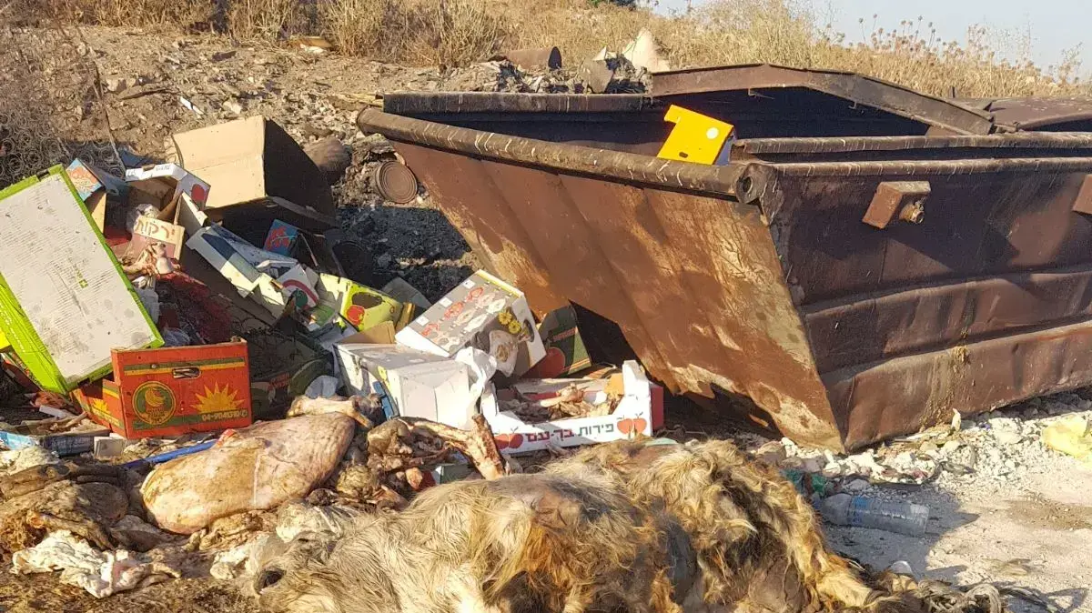 זבלות פיראטיות בגליל, בהן מושלכים פגרי בעלי חיים זבלות פיראטיות בגליל, בהן מושלכים פגרי בעלי חיים