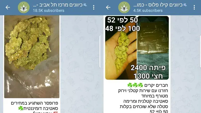 טלגראס טלגראס