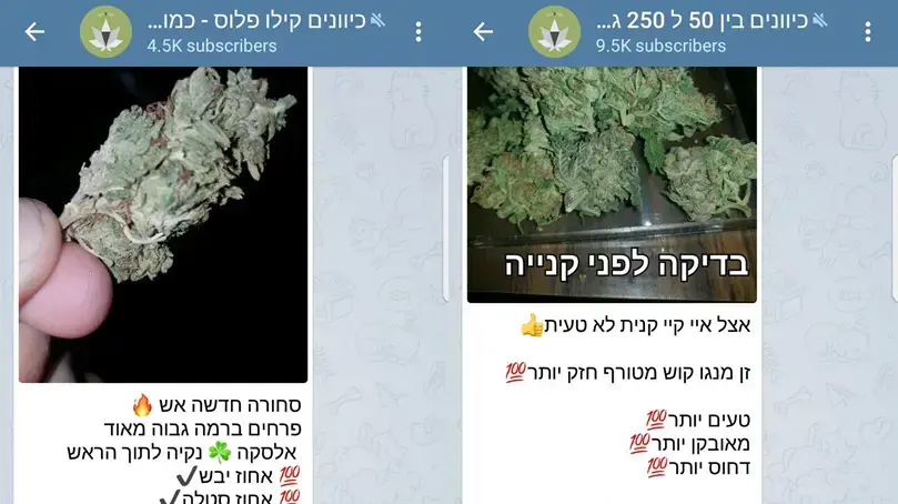 טלגראס טלגראס