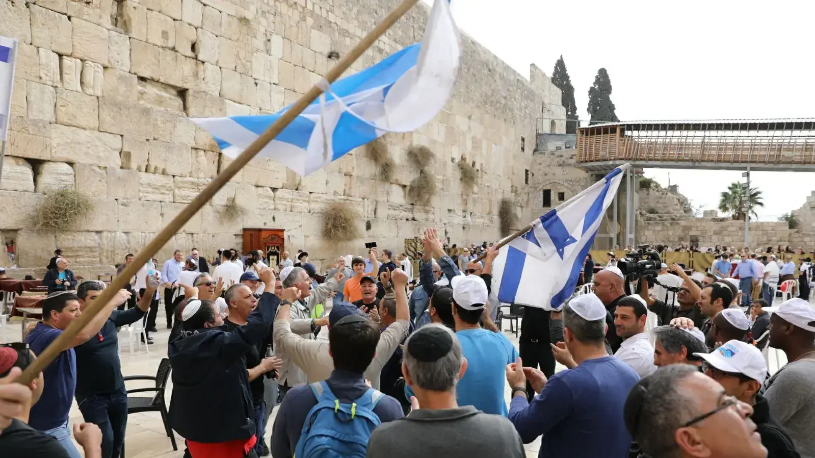 עובדי טבע בכותל המערבי, ירושלים, 21 בדצמבר 2017