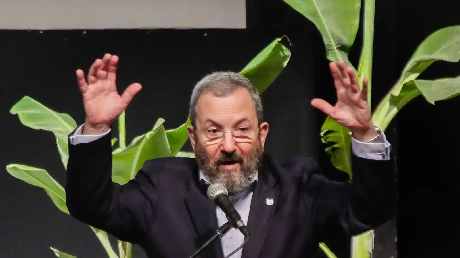 אהוד ברק בפסטיבל הבננה אהוד ברק בפסטיבל הבננה