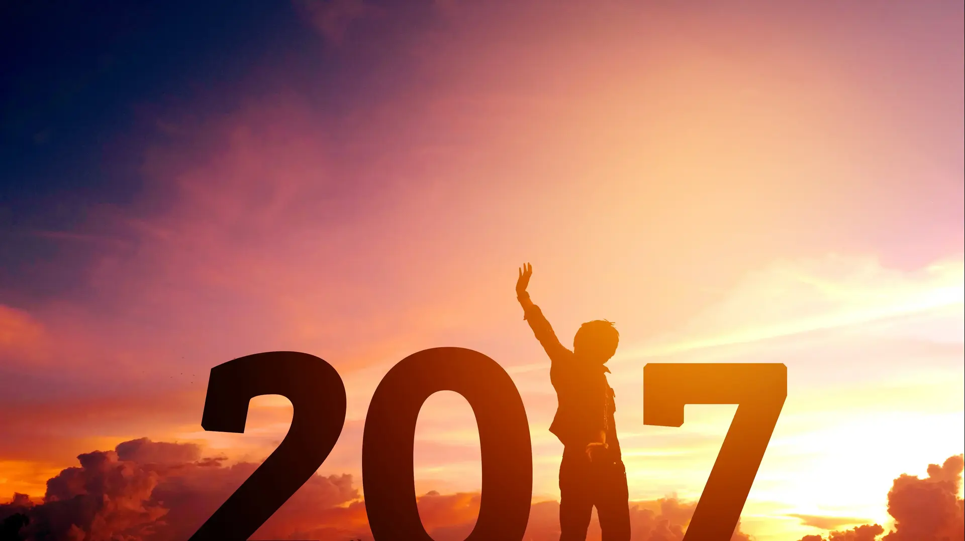 שנת 2017
