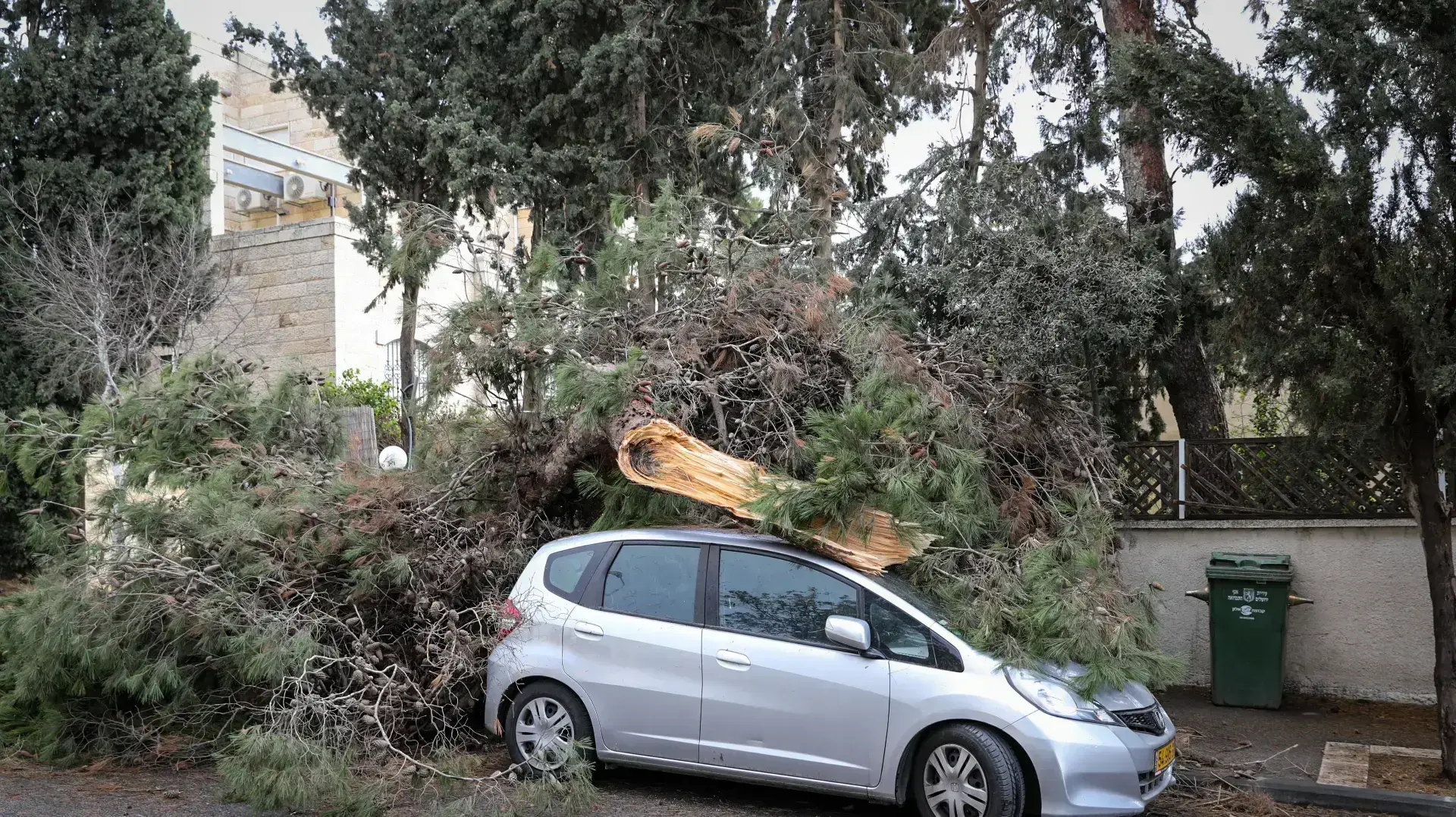 קריסת עץ על אוטו בשכונת ארנונה בירושלים 5 בינואר 2018 קריסת עץ על אוטו בשכונת ארנונה בירושלים 5 בינואר 2018