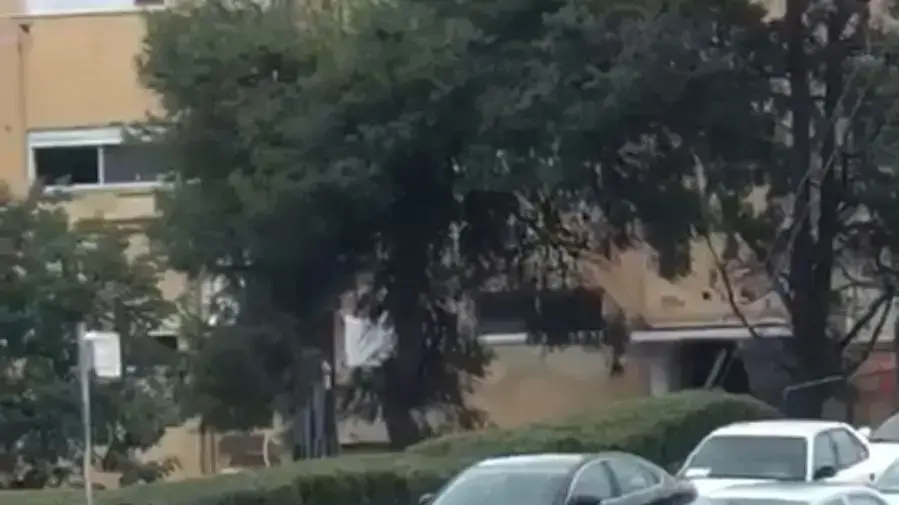 חיפה - רכב שנתקע ברחוב יציאת אירופה עקב הצפת הנחל 5 בינואר 2018 חיפה - רכב שנתקע ברחוב יציאת אירופה עקב הצפת הנחל 5 בינואר 2018