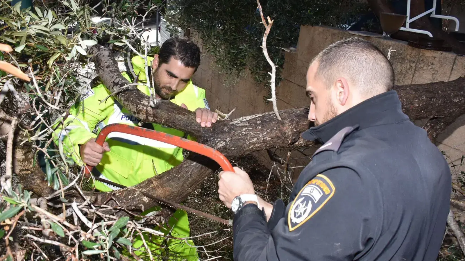 צוותי בזק בסיוע שוטרים פועלים לניסור עץ שקרס על עמוד תקשורת בחדרה, 5 בינואר 2018 צוותי בזק בסיוע שוטרים פועלים לניסור עץ שקרס על עמוד תקשורת בחדרה, 5 בינואר 2018