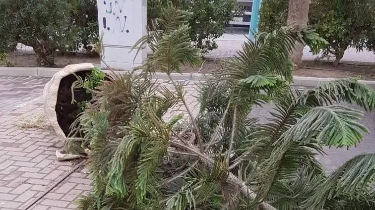 סערה בבאר שבע. 6 בינואר 2018 סערה בבאר שבע. 6 בינואר 2018