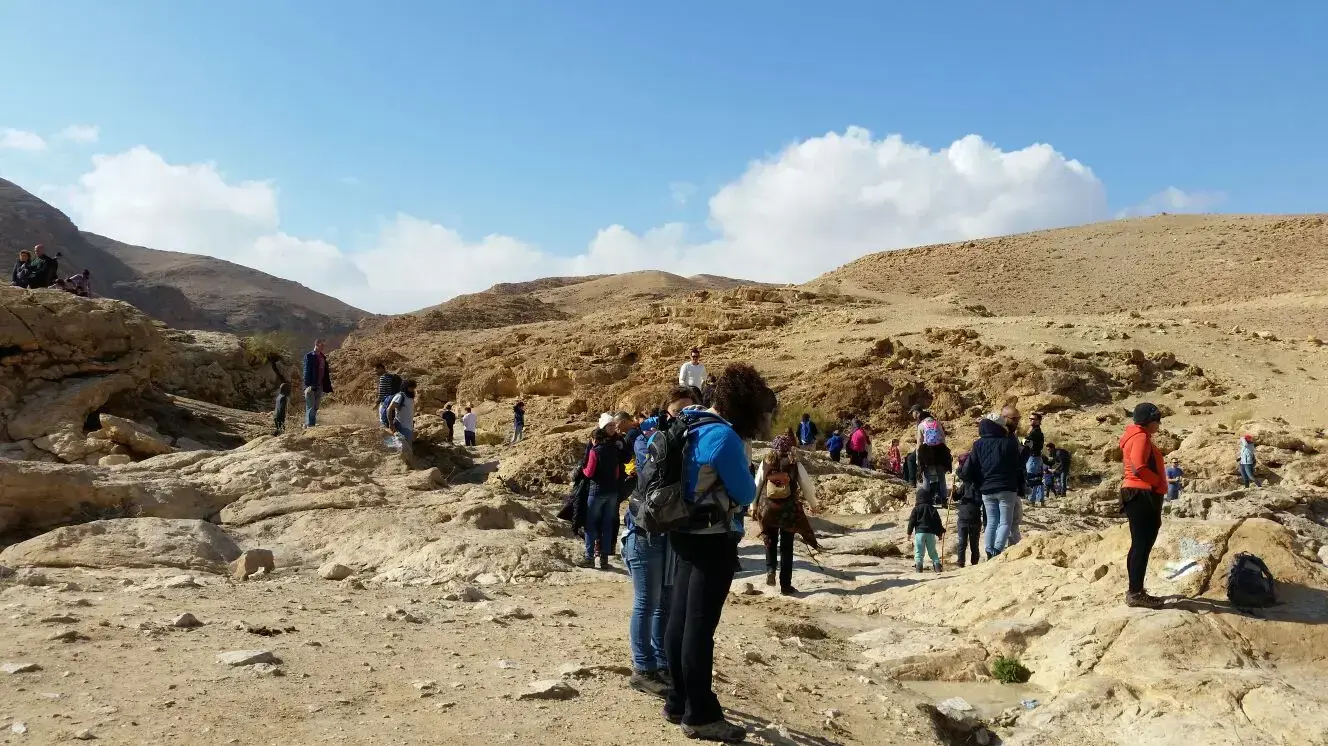חניון ברכת צפירה ונחל צאלים 6 בינואר 2018 חניון ברכת צפירה ונחל צאלים 6 בינואר 2018