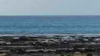 תסביך אב תסביך אב