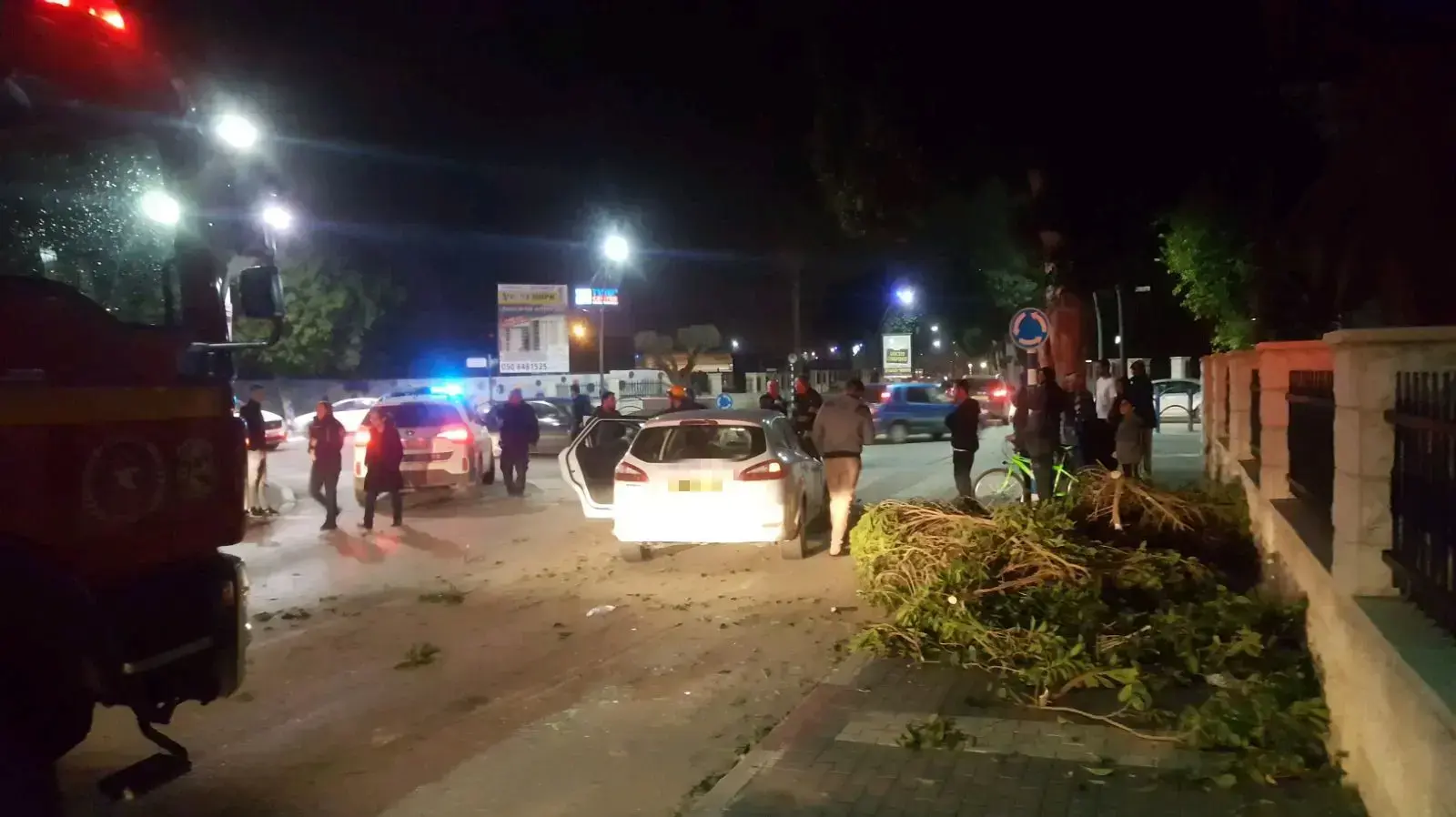 עץ שנפל על רכב נוסע בבבית שאן 18 בינואר 2018 עץ שנפל על רכב נוסע בבבית שאן 18 בינואר 2018