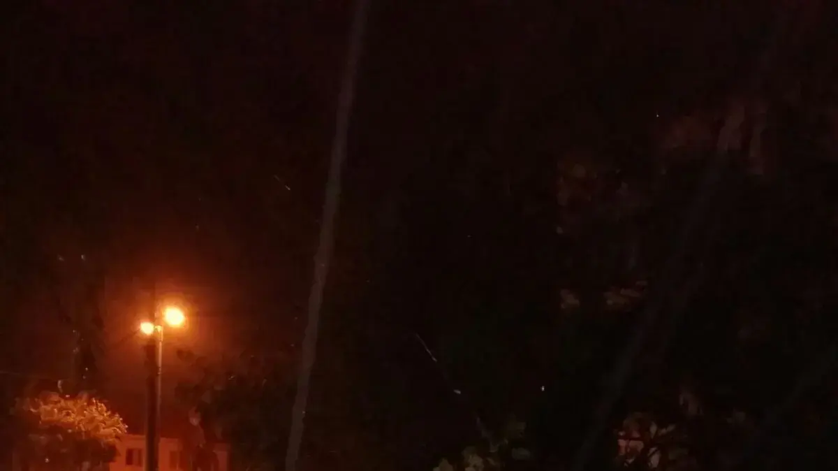 עצים שקרסו על רשת החשמל בבית אליעזר-חדרה 18 בינואר 2018 עצים שקרסו על רשת החשמל בבית אליעזר-חדרה 18 בינואר 2018