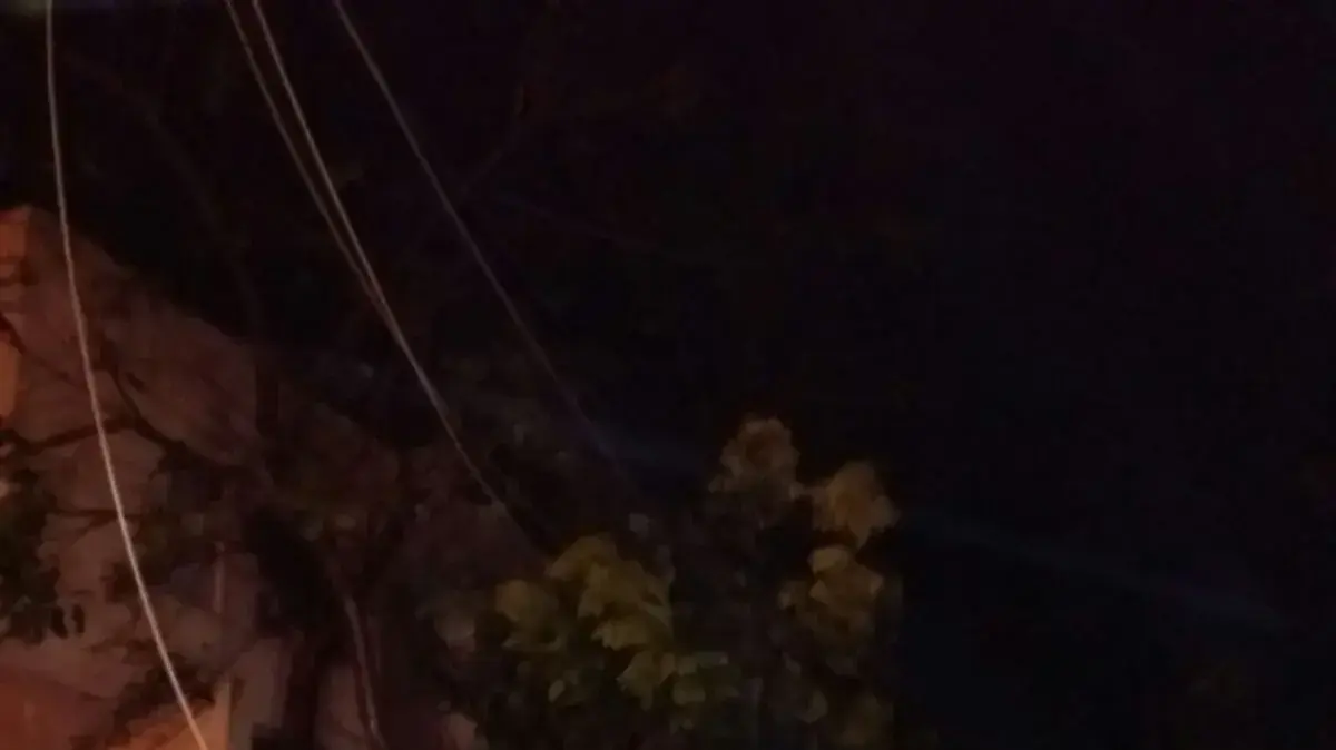 עצים שקרסו על רשת החשמל בבית אליעזר-חדרה 18 בינואר 2018 עצים שקרסו על רשת החשמל בבית אליעזר-חדרה 18 בינואר 2018