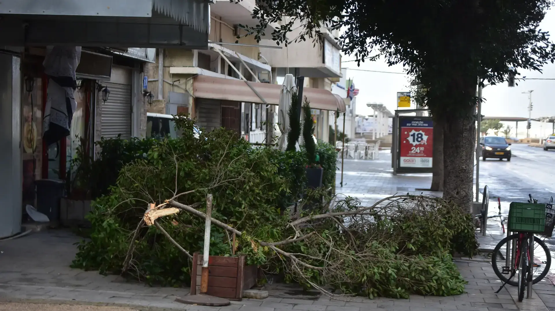 נזקי הסופה בתל אביב, 19 בינואר 2018 נזקי הסופה בתל אביב, 19 בינואר 2018