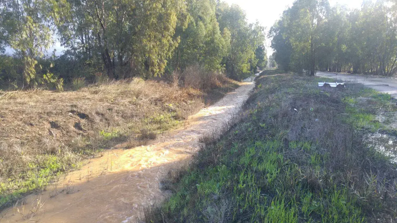 שטפונות בנחל עמוד, 19 בינואר 2018