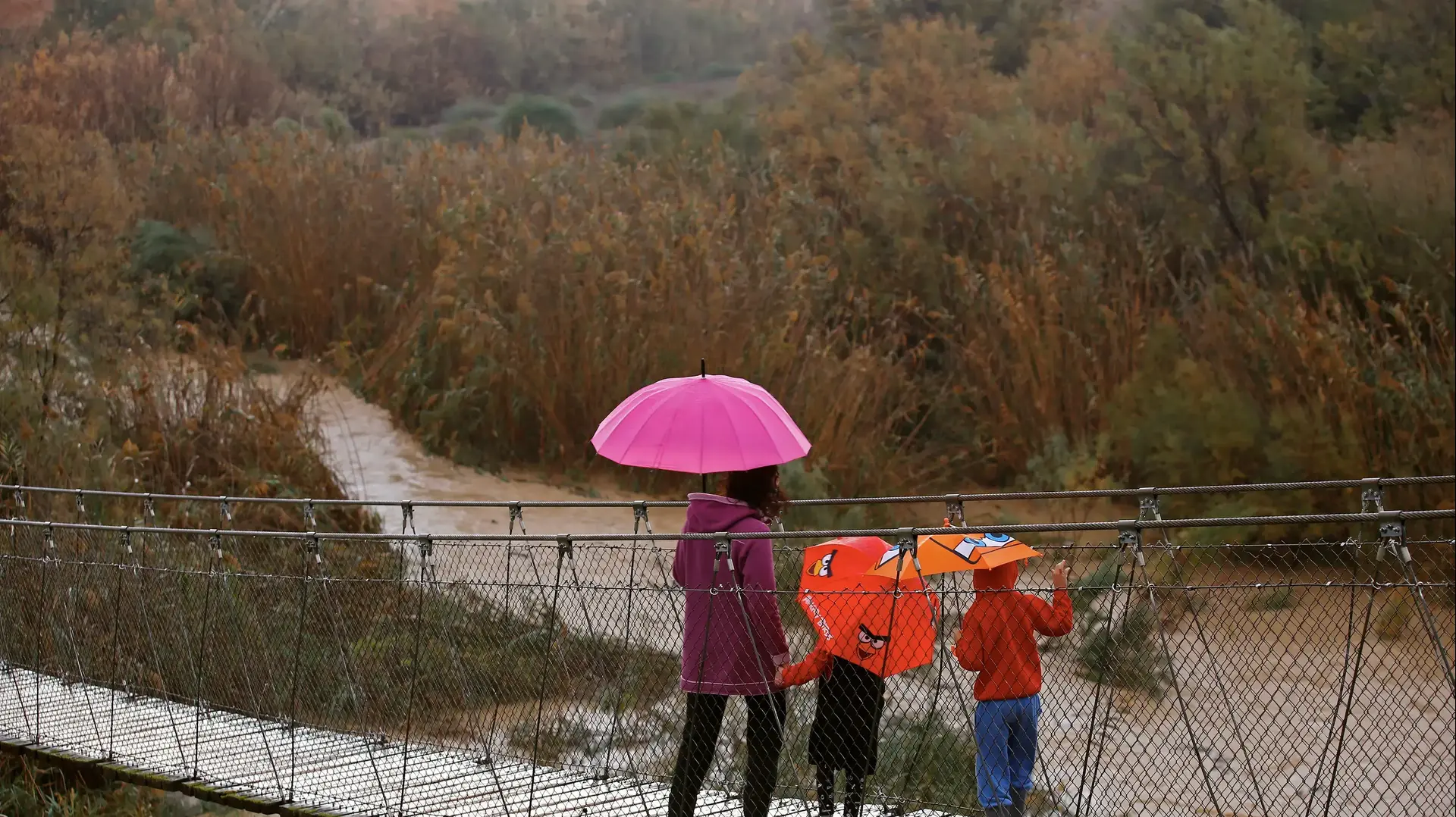 הצפה בנחל בשור ליד קיבוץ צאלים. 2 בינואר 2018 הצפה בנחל בשור ליד קיבוץ צאלים. 2 בינואר 2018