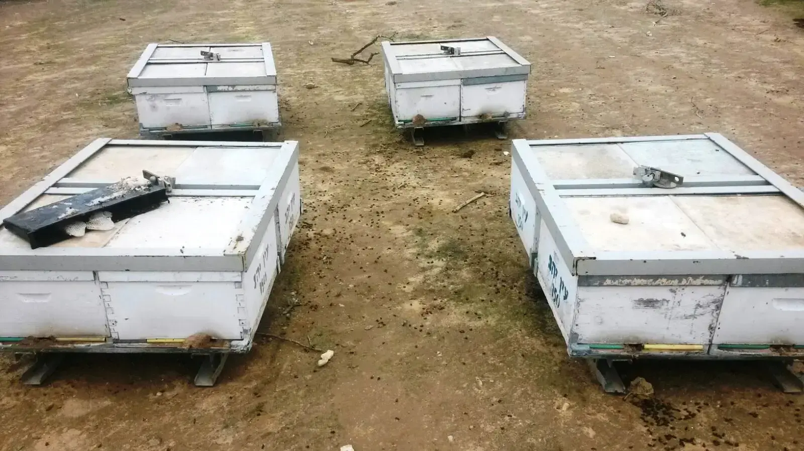 כוורות שנגנבו במושב עין יהב שבערבה 18 בינואר 2017 כוורות שנגנבו במושב עין יהב שבערבה 18 בינואר 2017
