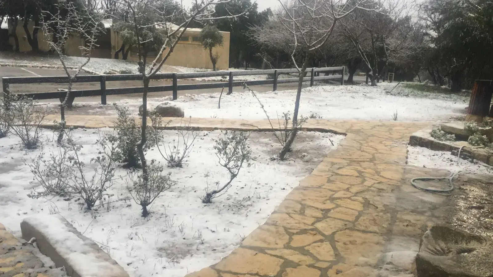 שלג בבית ספר שדה הר מירון, ינואר 2018